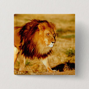 Einsamer Löwe Button