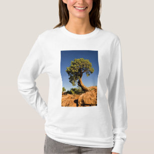 Einsamer Zeder, Deadhorse Point State Park, T-Shirt