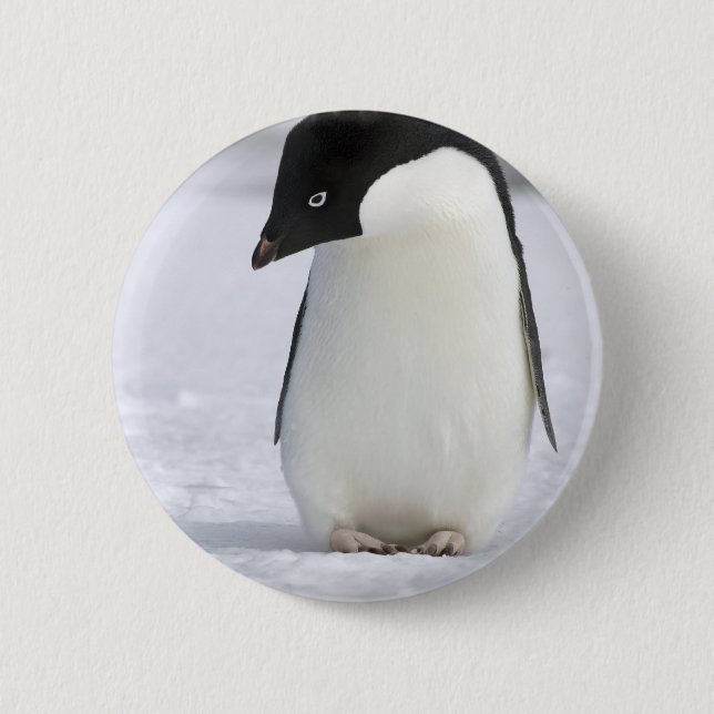 Einsames Penguin-Button Button (Vorderseite)