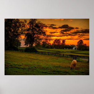 Einsames Pferd bei Sonnenuntergang Poster