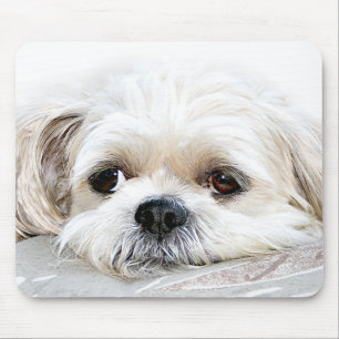einsames Shih tzu mousepad