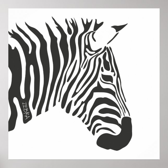 Einsames Zebra Poster (Vorne)