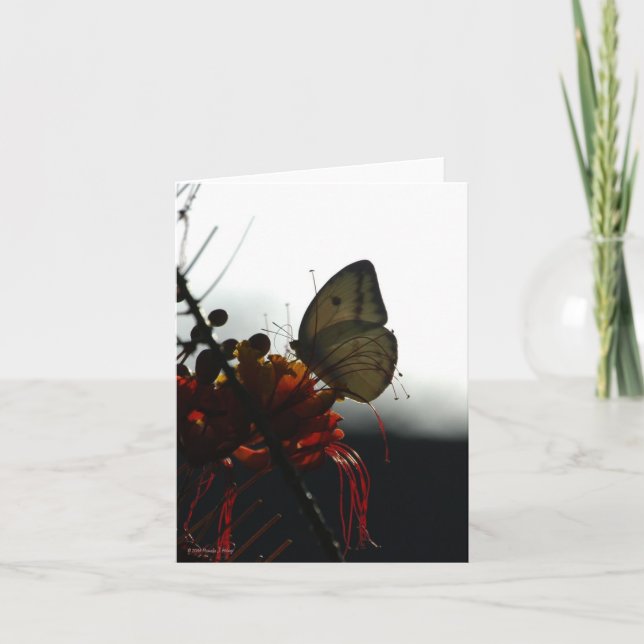 EINSAMKEIT 5a Karte (Vorderseite)