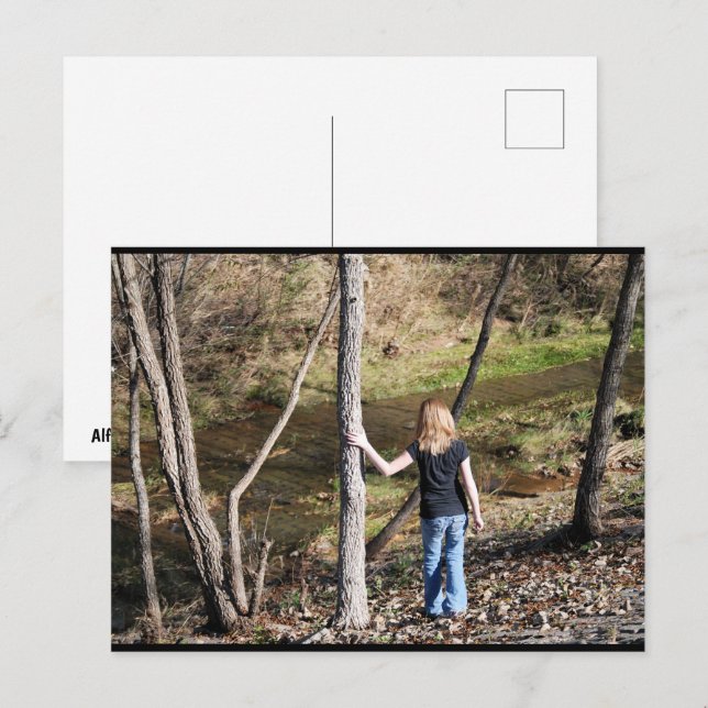 Einsamkeit in den Bäumen Postkarte (Vorne/Hinten)