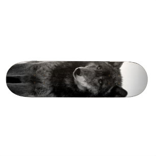 "Einsamkeits-" Skateboard