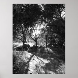 Einschließungspapier Poster