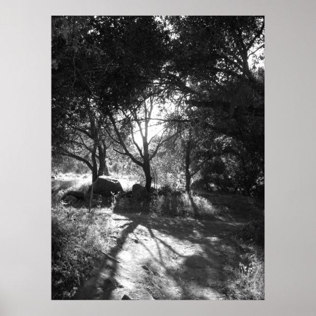 Einschließungspapier Poster (Vorne)