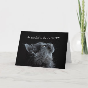 Einschränkungen bei der Niedlichen Katze des Absch Karte