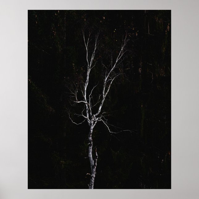 Einseitiger weißer Baum Poster (Vorne)