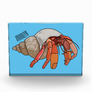 Einsiedlerkrebs Cartoon-Illustration Fotoblock