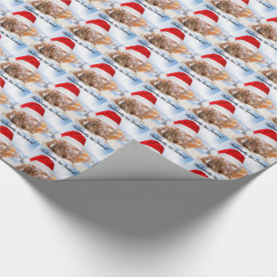 Einsiedlerkrebs-Weihnachten klein Geschenkpapier