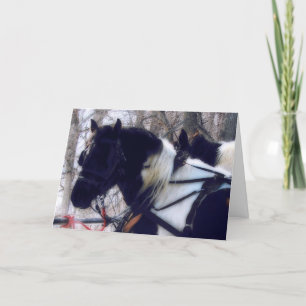 Einsteiger Pferde, Geburtstag Karte