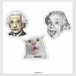 Einstein Genie & Lustiger Katzenaufkleber  Aufkleber