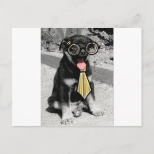 Einstein ist ein kluger, schwarzer Welpenhund Postkarte