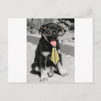 Einstein ist ein kluger, schwarzer Welpenhund Postkarte