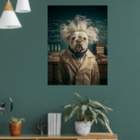 Einstein Pup im Labrador Coat