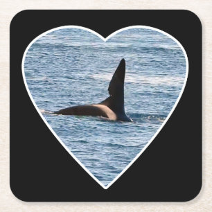 Einstellbare Haifischbissflosse John Coe Orca Rechteckiger Pappuntersetzer