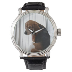 Einstellung des Beagle Armbanduhr