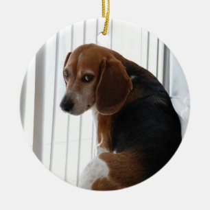 Einstellung des Beagle Keramikornament