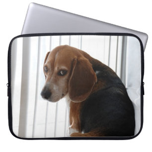 Einstellung des Beagle Laptopschutzhülle