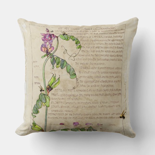 Eintagsfliege-süße Erbse Kissen (Vorderseite)