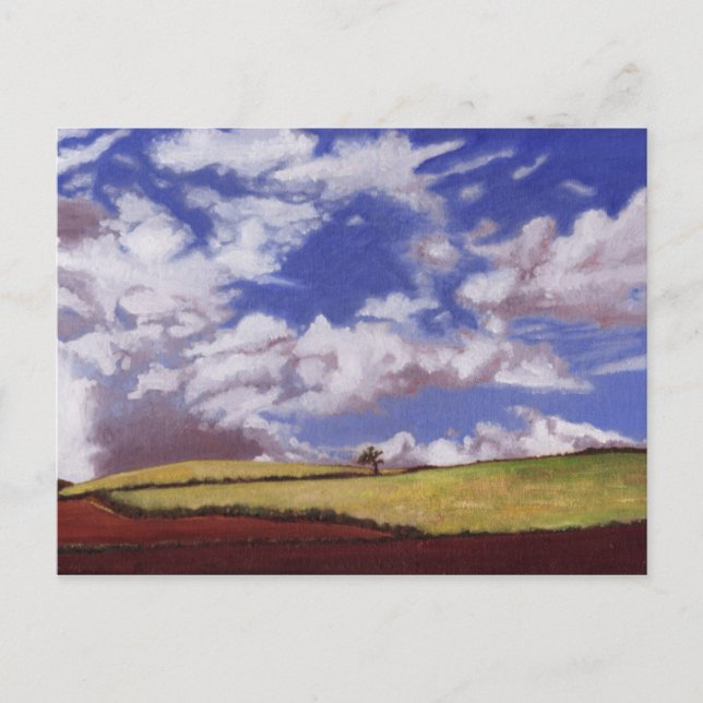 Einzelbaum 2012 postkarte (Vorderseite)