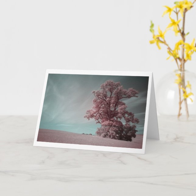 Einzelbaum in Infrarotfotografie (2621) Karte (Gelbe Blume)