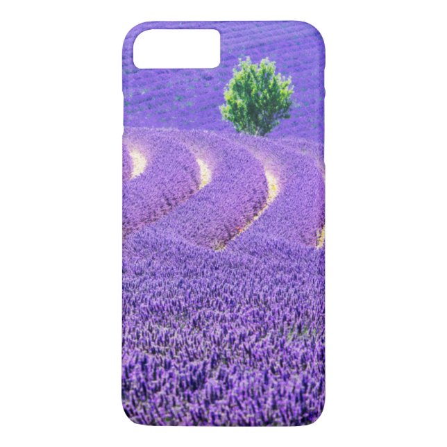 Einzelbaum in Lavender Field, Frankreich Case-Mate iPhone Hülle (Rückseite)