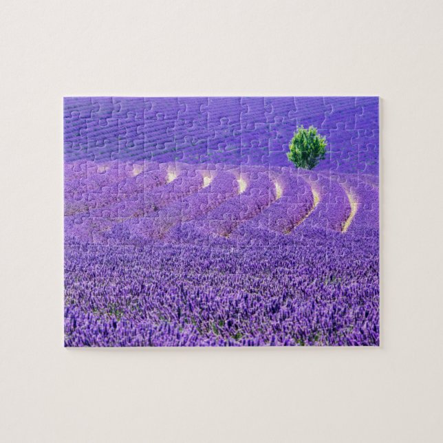Einzelbaum in Lavender Field, Frankreich Puzzle (Horizontal)