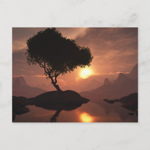 Einzelbaum-Postkarte Postkarte