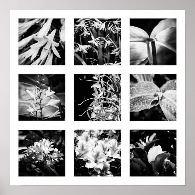 Einzelheiten der Reihe "Natur" - Blume 2 Poster (Vorne)