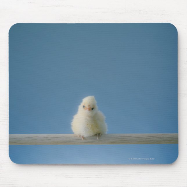Einzelne Babyhähnchen, die auf einer Terrasse sitz Mousepad (Vorne)