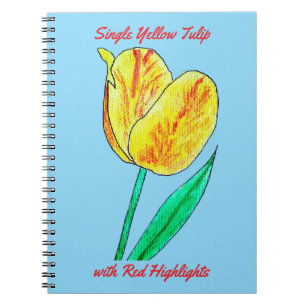 Einzelne gelbe Tulpe mit roten Highlights Notizblock