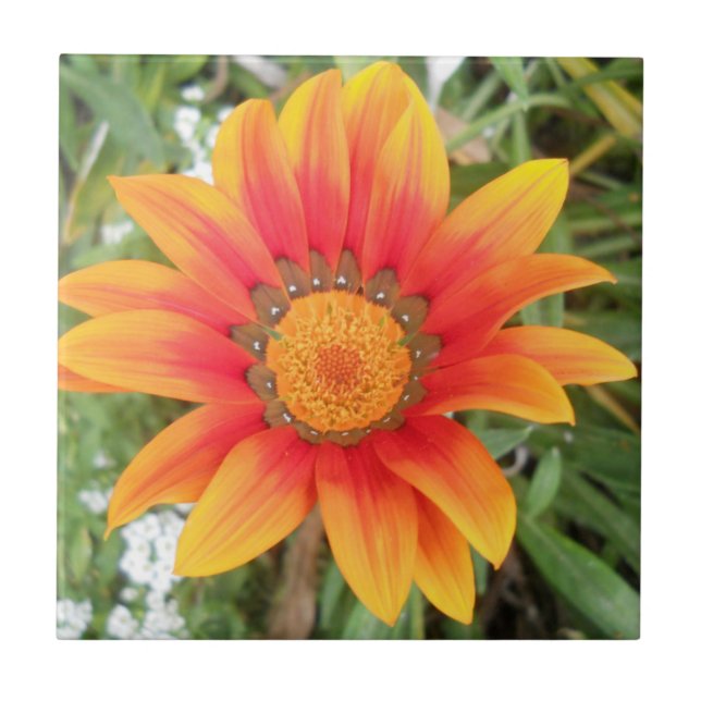 Einzelne orangefarbene Blume Fliese (Vorderseite)