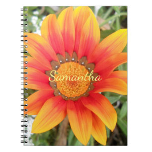 Einzelne orangefarbene Blume personalisiert Notizblock