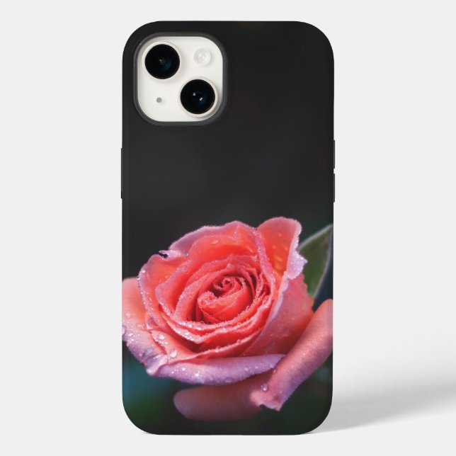Einzelne rosa Rose mit Tau Case-Mate iPhone Hülle (Rückseite)