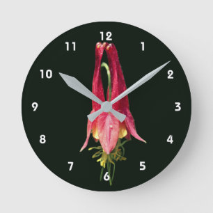 Einzelne rote Akelei-Blüte Runde Wanduhr