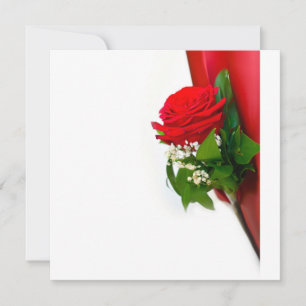 Einzelne rote Rose – Florales weißes Hintergrundbi Einladung