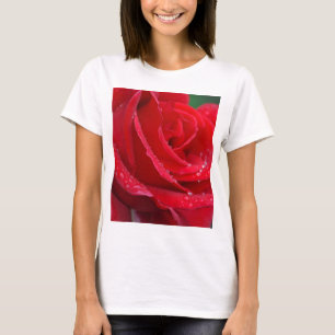 Einzelne rote Rosen blühen T-Shirt