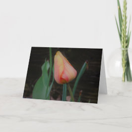 Einzelne Tulpen-Notizkarte Karte