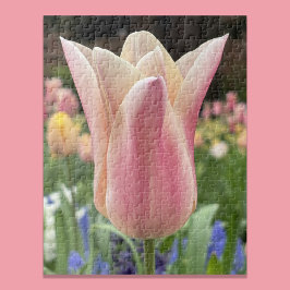 Einzelne Tulpenblüte im Garten Skagit Valley Puzzle