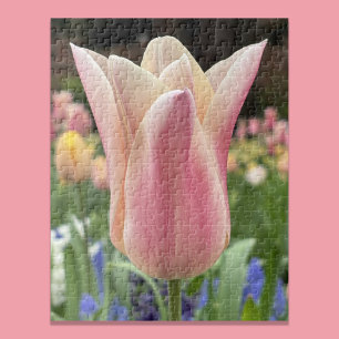 Einzelne Tulpenblüte im Garten Skagit Valley Puzzle
