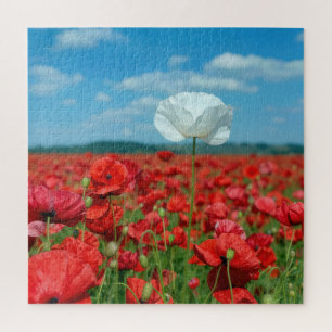 Einzelne weiße Mohnblume in einem roten Mohnfeld Puzzle
