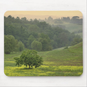 Einzelner Baum auf landwirtschaftlichem Feld, Tosk Mousepad