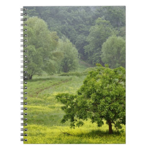 Einzelner Baum auf landwirtschaftlichem Feld, Tosk Notizblock