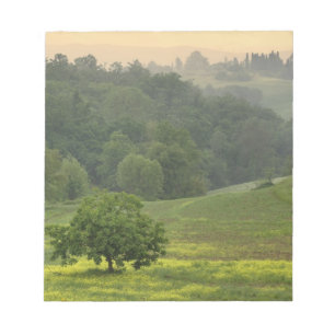 Einzelner Baum auf landwirtschaftlichem Feld, Tosk Notizblock