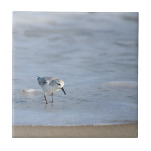 Einzelner Strandläufer am Strand entlanglaufend Fliese