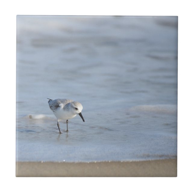 Einzelner Strandläufer am Strand entlanglaufend  Fliese (Vorderseite)