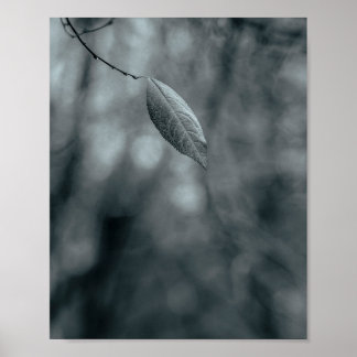 Einzelnes Blatt an einem dünnen Ast in kühlem Mono Poster