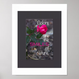 Einzelnes gebogenes rosa Rosenfoto Poster